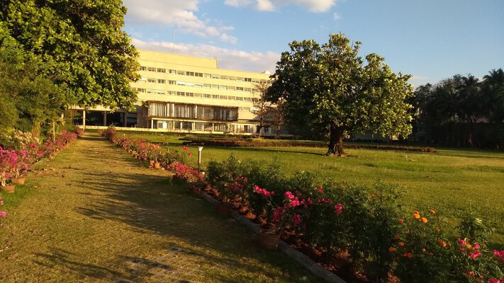 TIFR west lawns